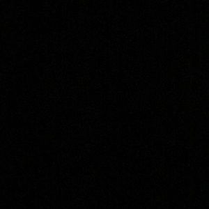 Meet your Posher, Lily